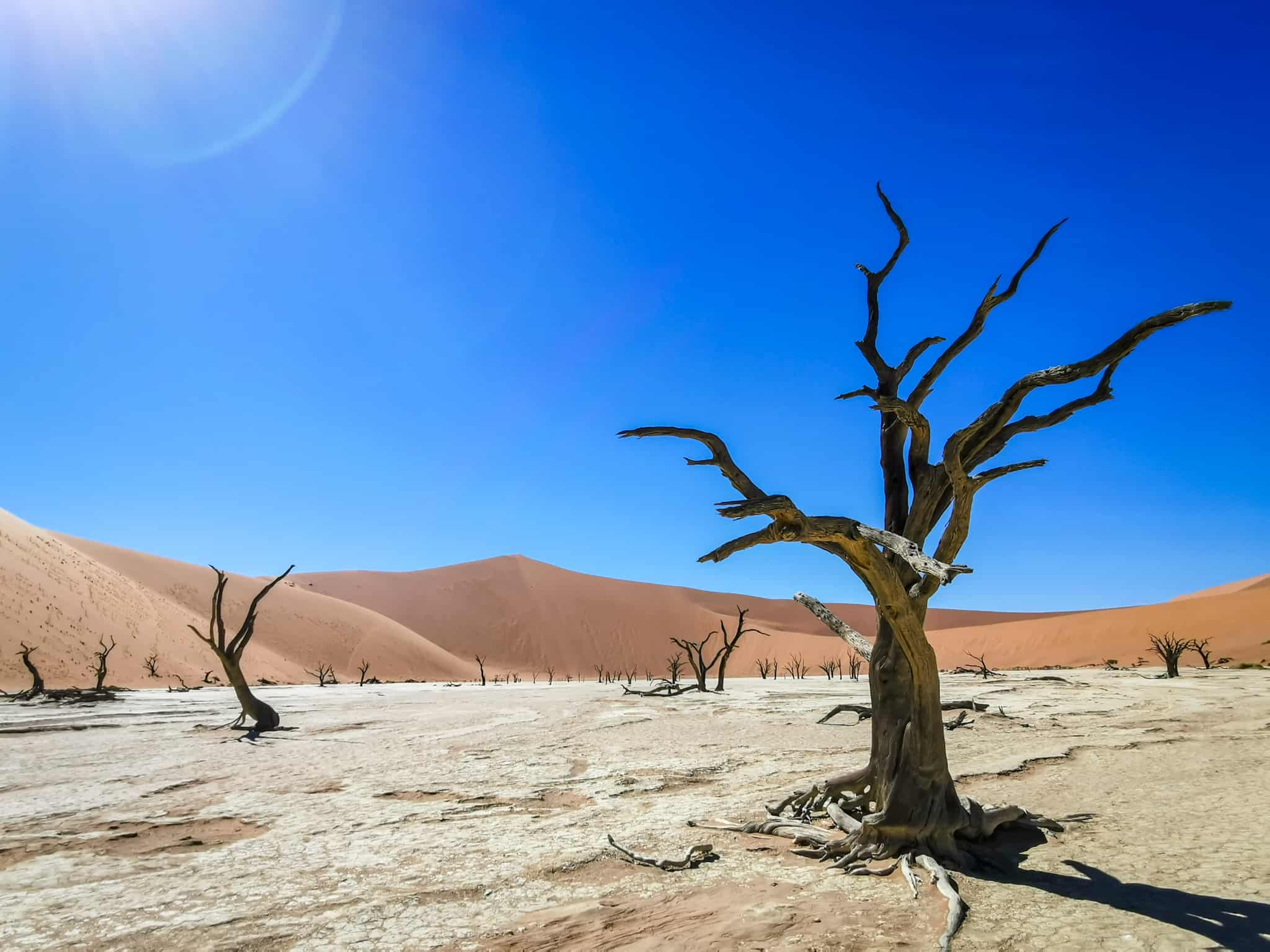 Dead Vlei AKA Dead Valley, Namibia - Four Worn Soles